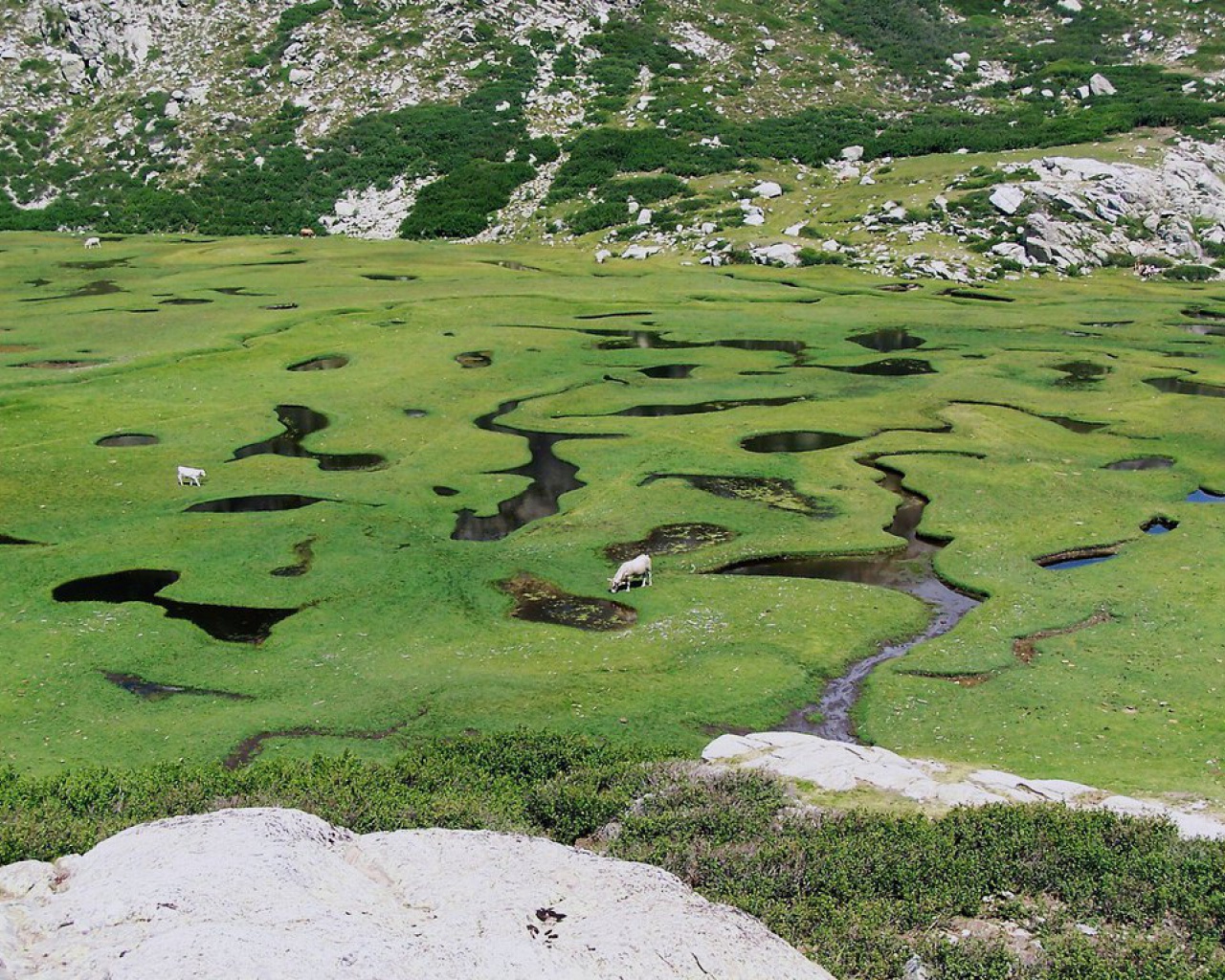 Regional Natural Park of Corsica (PNRC)