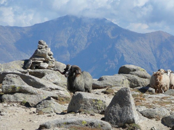 The entire GR20 from South to North
