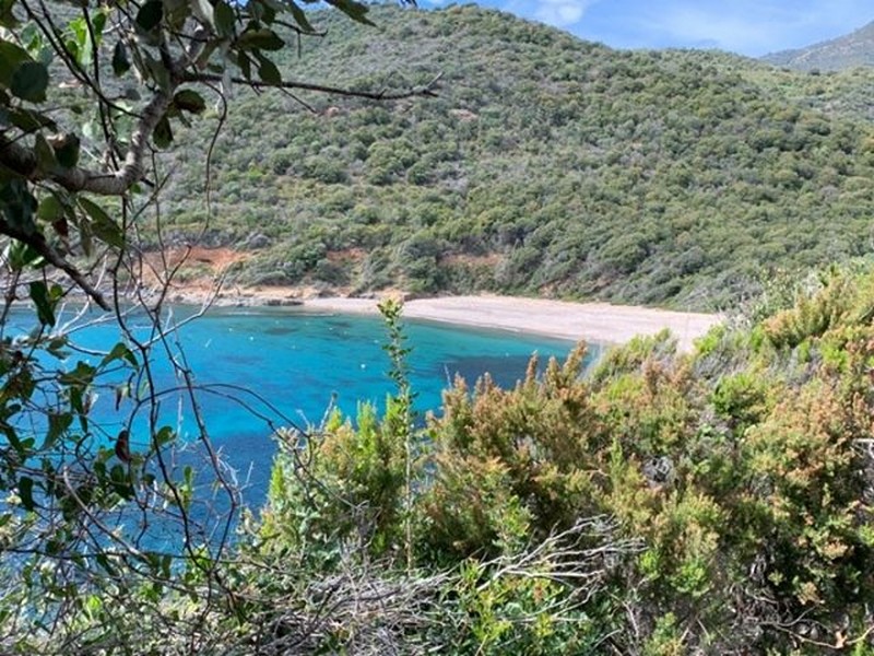 Let's talk about Corsica ! Let's talk about Corsica !