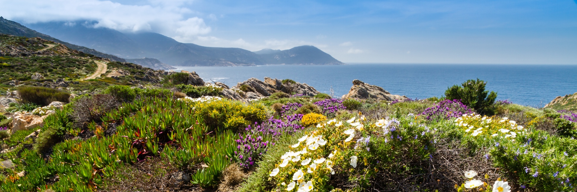 Hiking in Corsica in the spring