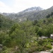 Mountain View Gr20