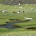 Pozzines Gr20