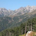 Forrest Gr20 Corsica