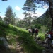 Hikers In The Forest In Corsica