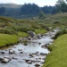 River On The Gr20 In Corsica
