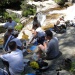 Picnic Lunch