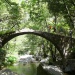 River Bridge In Corsica