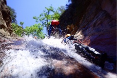 Toboggan in Corsica