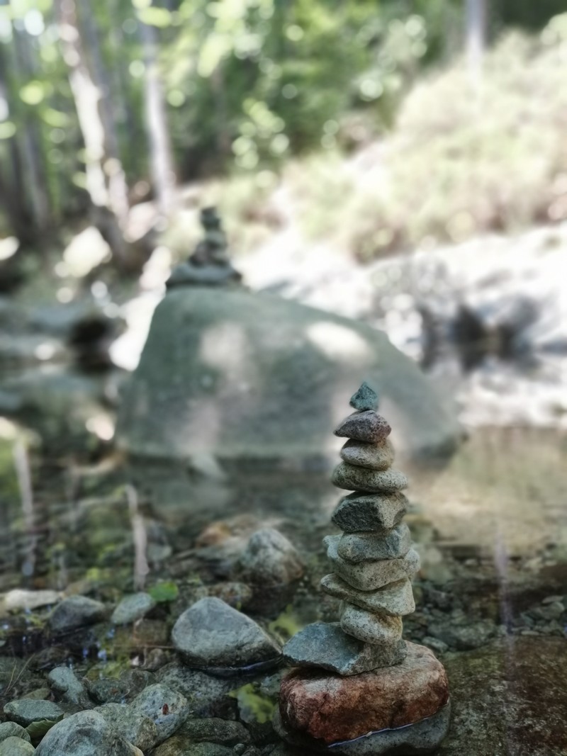 The Vizzavona forest